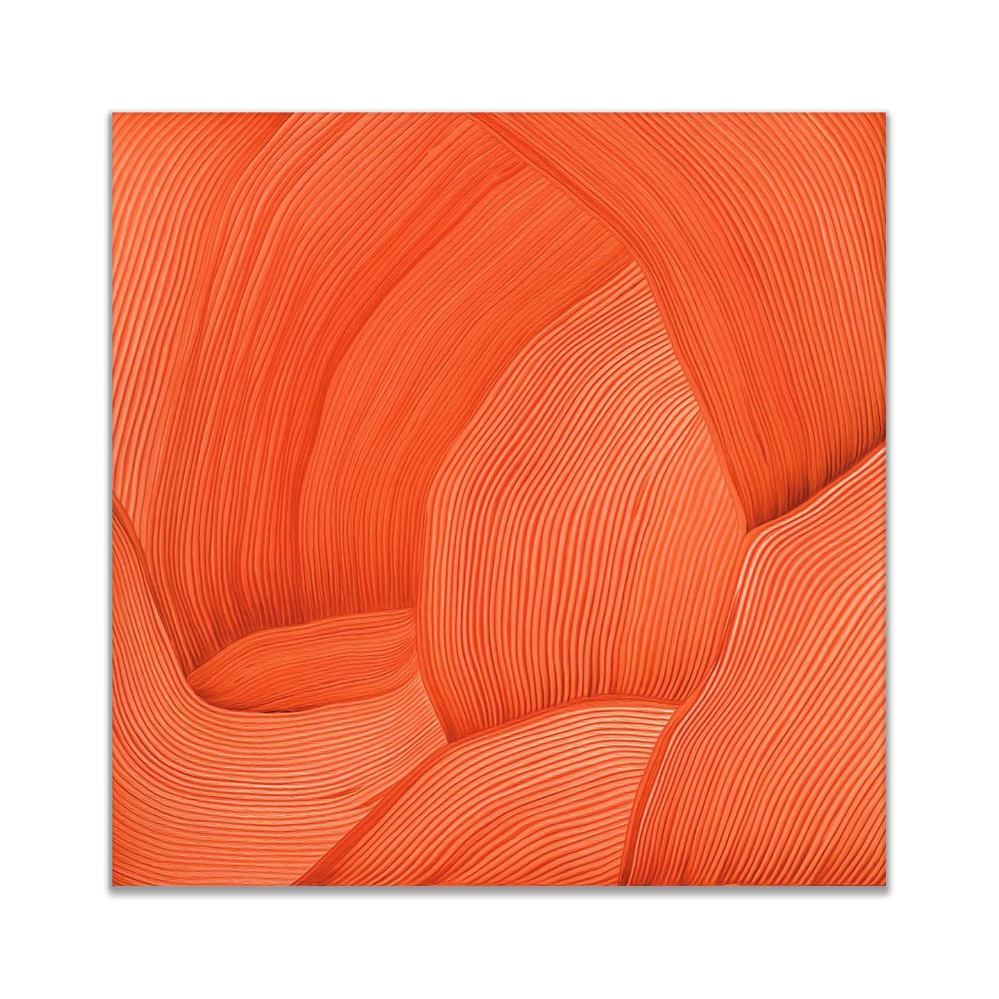 3D Line Drawing 36" x 36" Fine Art Canvas-0